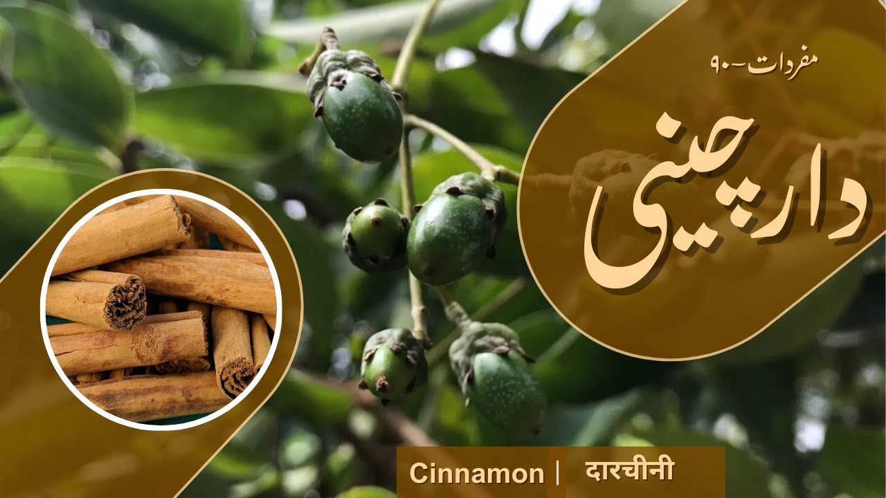 DAARCHINI | Cinnamon | دارچینی