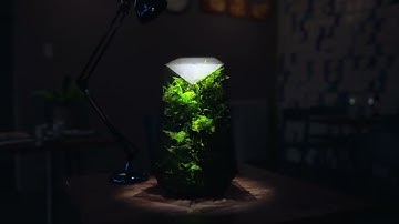 Green Serenity (Reimagined)