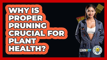 Why Is Proper Pruning Crucial For Plant Health? - LearnToDIY360.com