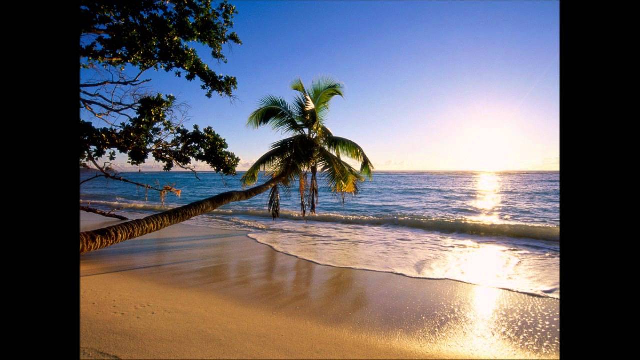 David Vendetta - Alicante (Cuba Club Mix)