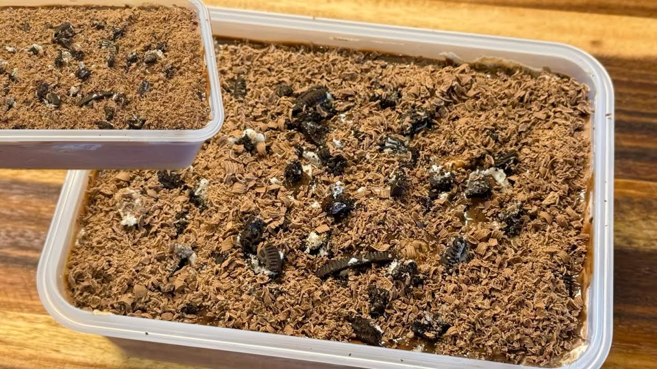 मै हमेशा अब घर पर ही बनाती हूँ एक बार बना लिया यकीन मनो मार्केट से लाना बंद करदेंगे Ice cream recipe