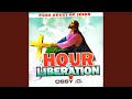 Hour Of Liberation Pt 1