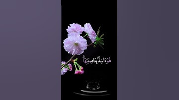 صباح الخير🌸اجمل حالات واتس اب مقاطع قصيره🌸قران كريم سورة هود إني توكلت على الله ربي وربكم🌸بدون حقوق