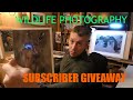 Wildlife Photography/ Subscriber Giveaway