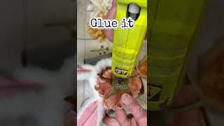 Celebrity LAST MINUTE Easter Table?! 🐰 Make This Bunny Bucket in Minutes! #shorts Net Worth