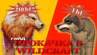 как ПРОКАЧАТЬСЯ? СОВЕТЫ по ПРОКАЧКЕ | Wildcraft