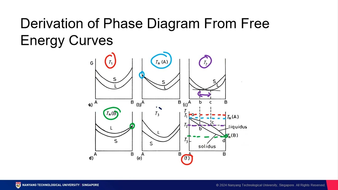 Lesson 06- Gibbs Phase Rule and Phase Diagrams Part 4