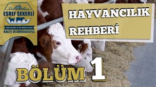 Hayvancılık Rehberi - 11 Şubat 2020 -  Bölüm 1 #HayvancılıkRehberi