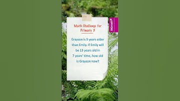 Grade 3 Math Quiz 09: Solve the Primary 3 Word Problem