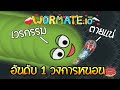 หนอนเลื้อยลงบ่อ | Wormate.io (เกมหนอนกินของหวาน)