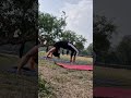 CHAKRASANA #meditationmusic #nature #fitness #youtubeshorts #youtubevideo