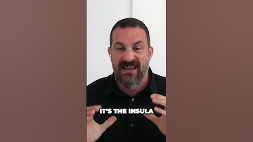 The Insula Unveiling the Brains Hidden Signal Interpreter