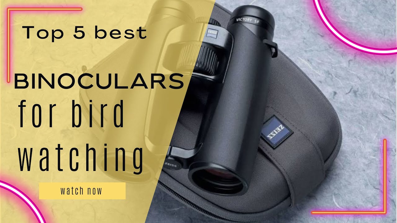Top 5 Best Binoculars for Bird Watching [Review in 2023]
