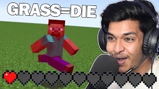 Фото I Survived 100 Days Without Touching Grass | Minecraft Hindi😂