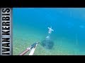 Это КОСМОС! Подводная охота на истоке Ангары.