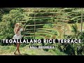 TEGALLALANG RICE TERRACE, BALI | BALI VLOG #046