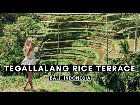 TEGALLALANG RICE TERRACE, BALI | BALI VLOG #046