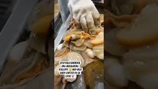 Mahilig ba kayo sa scallops? #viralnow #trending #trendingshorts #seafood #seashell #scallops #viral