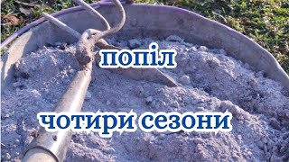картинка: Правильне добриво з попелу. Монофосфат калію власноруч.