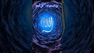 Allah Ki Ibadat🤲🏻#shorts #allah #firozainsights #islamicpost #muslimummah #deen #islamicreminder