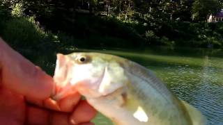 OSPベントミノー76F&ラッシュ60