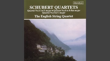 String Quartet No.4 in C Major, D.46: III. Menuetto. Allegro