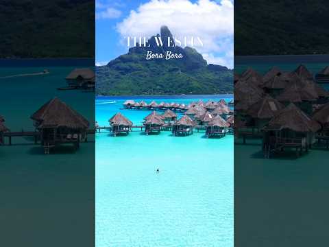 Dreaming of Bora Bora?π Contact us!