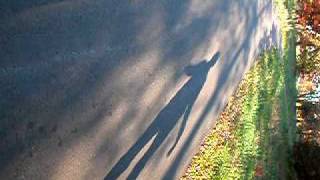 Shadow Magic