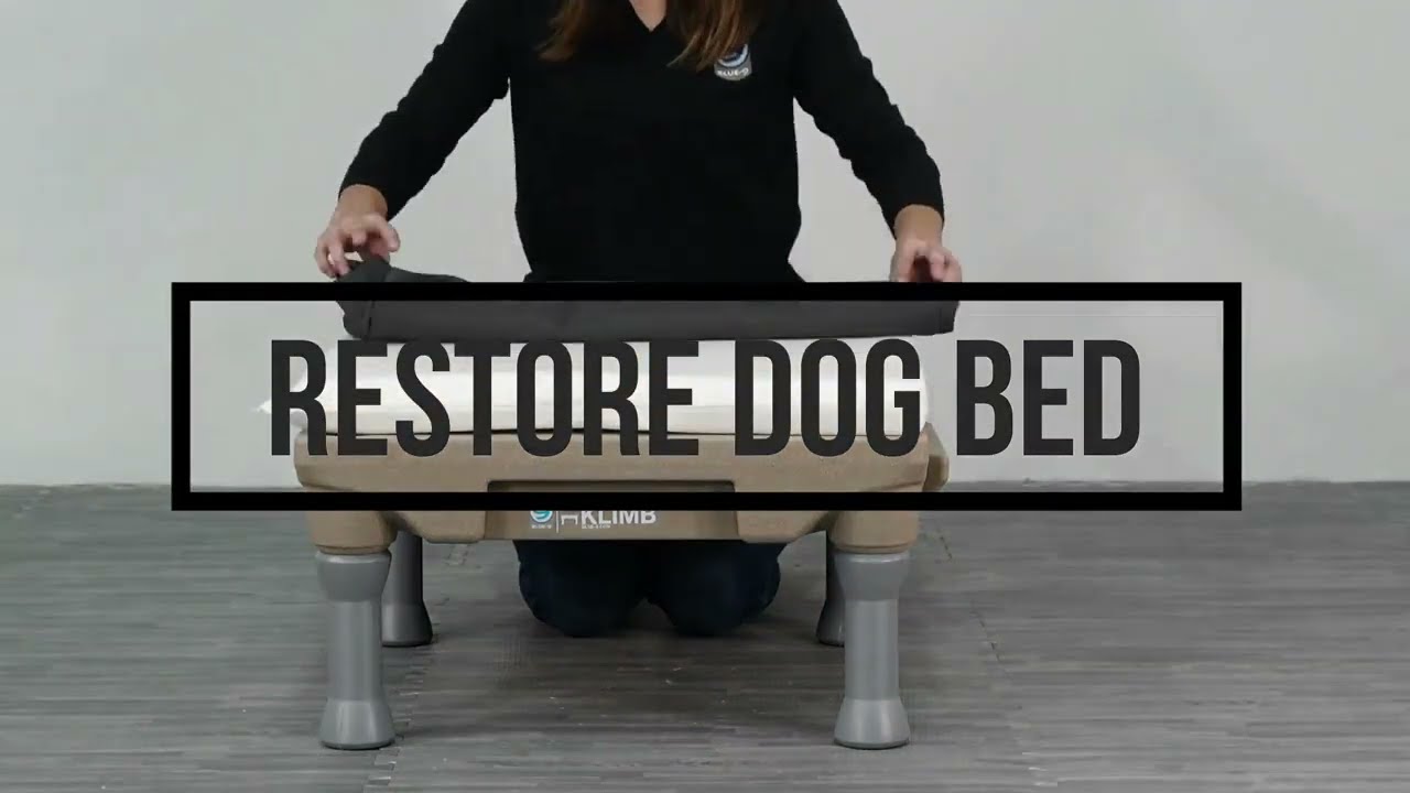 Restore Dog Bed | Durable, Water-Resistant bed from Blue-9 Pet Products