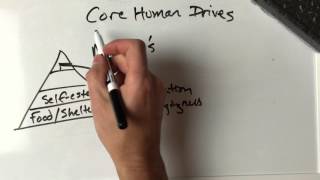 Core Human Drives 2
