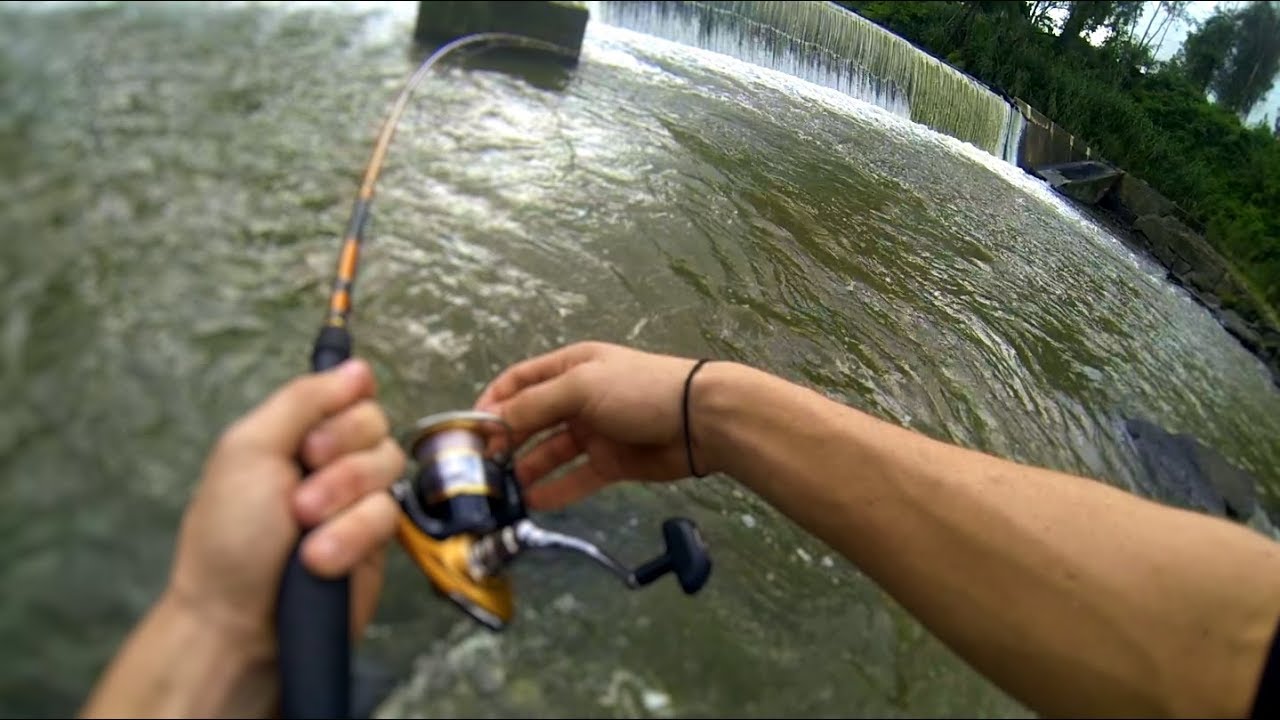 Richmond River Bass Fishing - 45 cm Bass! - YouTube