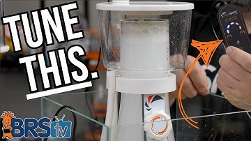 Tune Your Protein Skimmer Like a Pro!