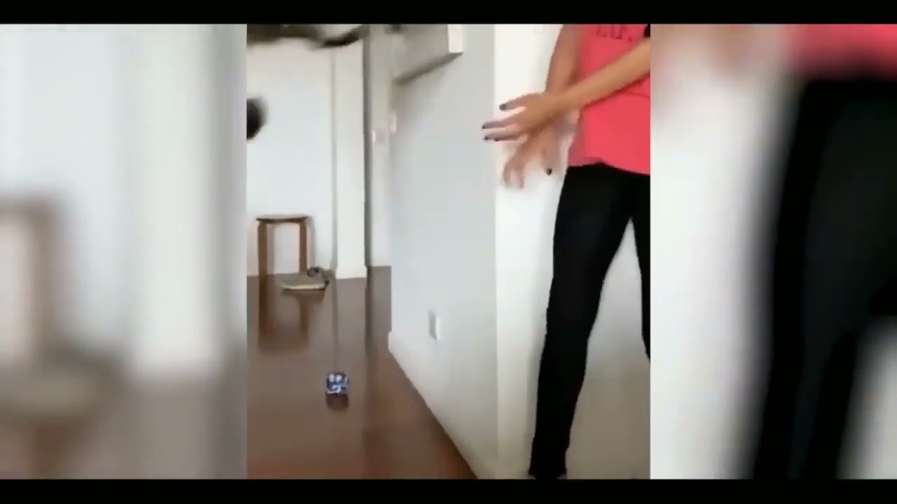 "Funny Cats vs Finger Guns | Hilarious Animals Playing Dead Compilation"