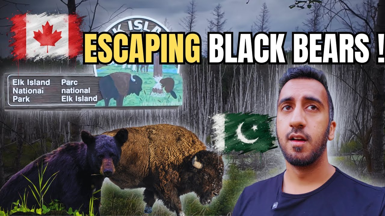 Lost in Elk Island National Park 🇨🇦 | (Urdu Travel Vlog)  | Seeing Bisons, Escaping Bears !