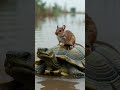 Kachhua ki Daya chuhe ki Seekh 🐰#trending #viral #animals #ai #shorts