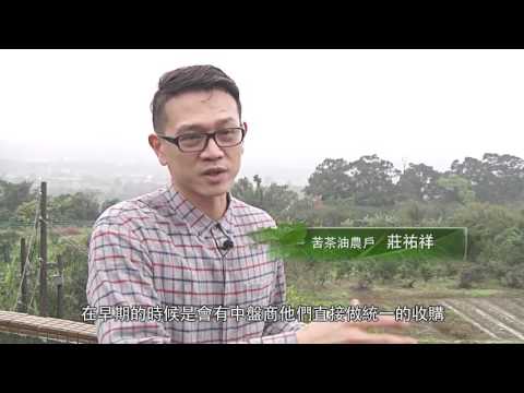 德國萊因TÜV客戶證言--凱宇生物科技