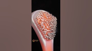 Brush vs Hot Knife #asmr #macro #closeup