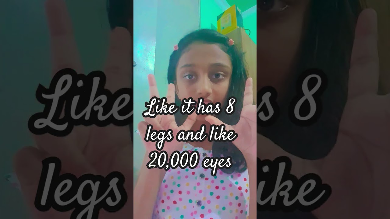 MY FEAR FOR SPIDERS IS ON NEXT LEVEL GUYS☆☆♡♡!! 