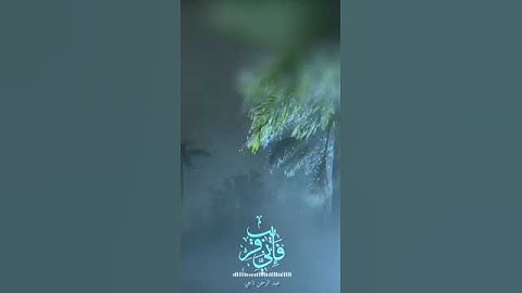 من اخشع ما تسمع تلاوة خاشعة لسورة البقرة عبدالرحمن ناجي#عبدالرحمن_ناجي #محمد_اللحيدان #المصحف