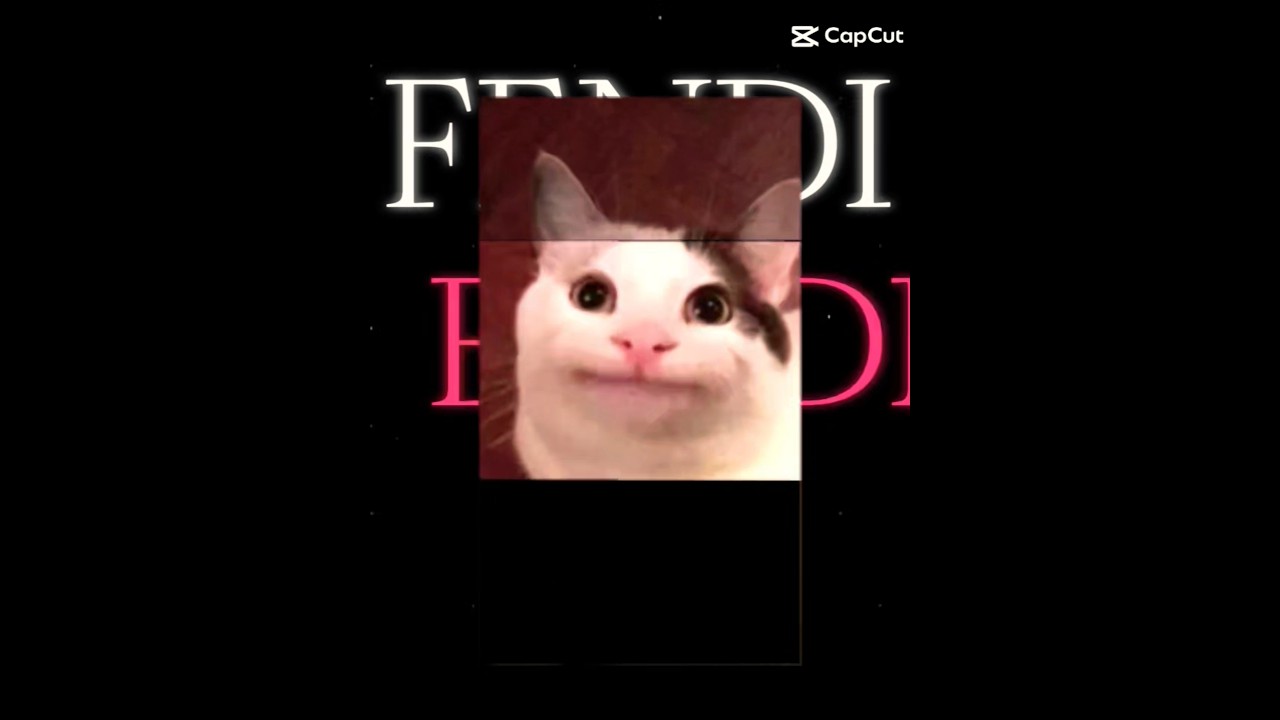 мемный эдит про кошек 