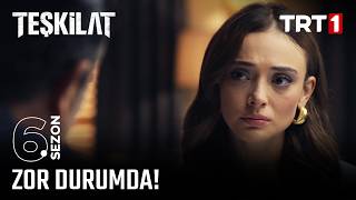Hilal, Görevi Kabul Edecek Mi? - Teşkilat Özel Sahneler