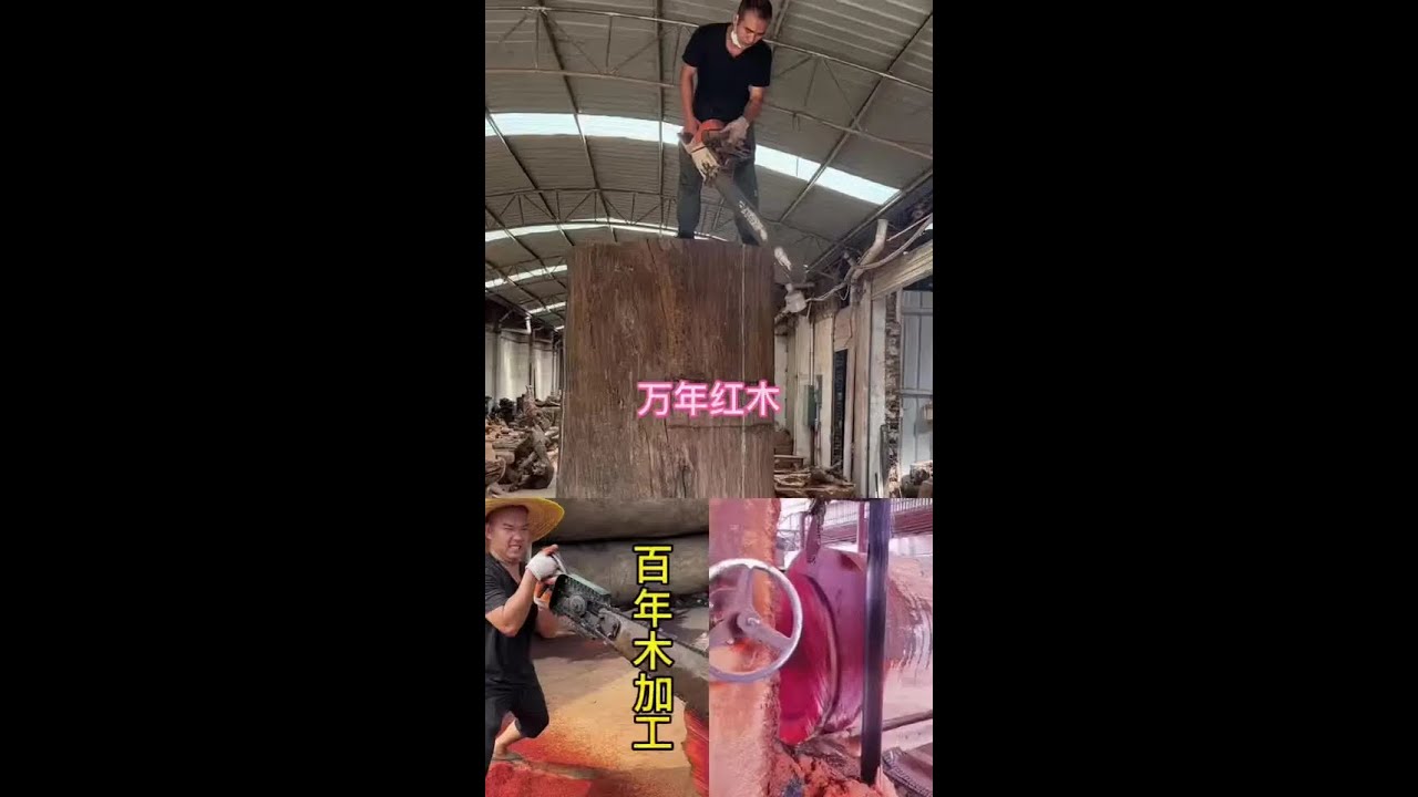 Evergreen Hongmu tea table ~ 