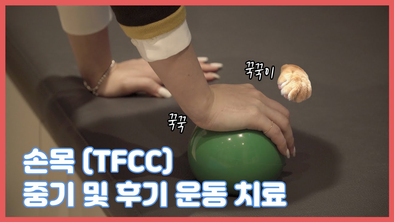 손목바깥쪽통증 해결하는 놀라운 방법 | TFCC 중기, 후기 운동치료