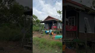 Rumah Panggung Di Daerah Rawa Yang Mengering shorts short rumahpanggung rawa trip travelvlog