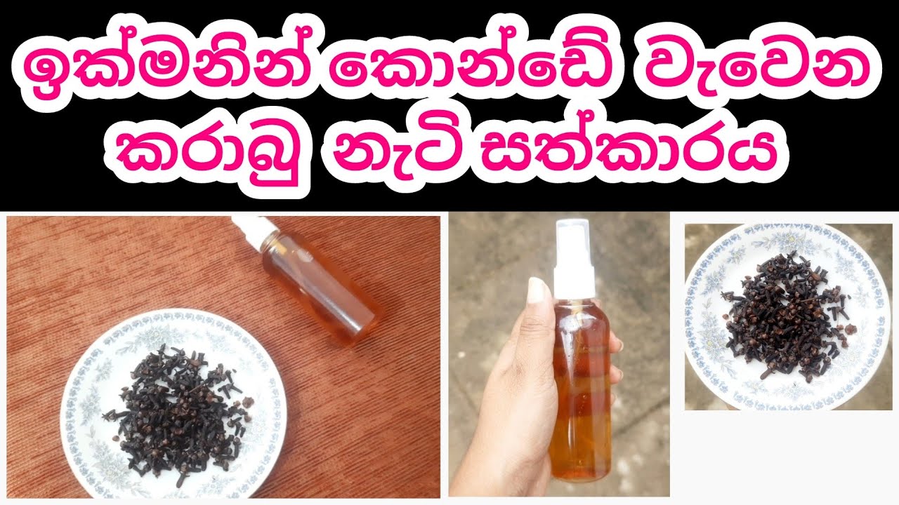 කරාබු නැට්ටෙන් කොන්ඩය වවමු ️🥰 Cloves Hair Treatment How to grow hair
