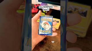 Any MORPEKO fans?! #pokemon #pokemonchannel #pokemontcg #morpeko