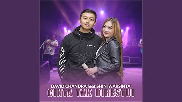 Cinta Tak Direstui