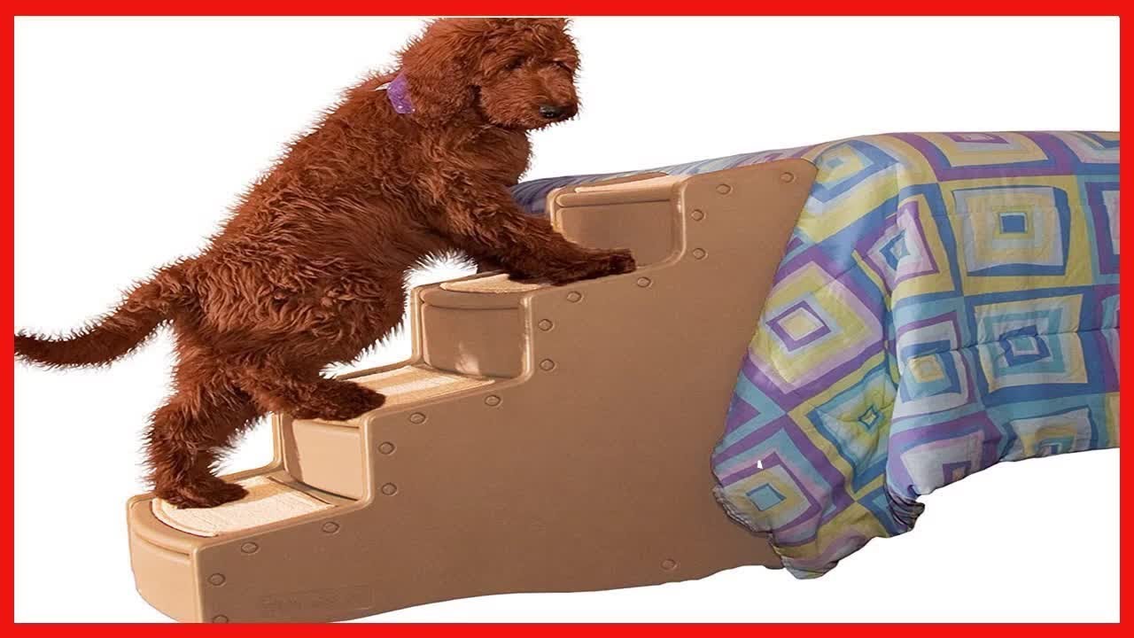 Pet Gear Tan Easy Step IV - GHN Shop