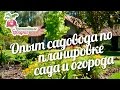 Опыт садовода по планировке сада и огорода #urozhainye_gryadki