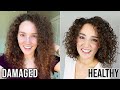 Transitioning Update, 3 Years CGM Results & Q&A